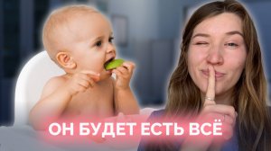 Всё о прикорме в одном месте: полный гайд когда и как вводить прикорм, чтобы не навредить