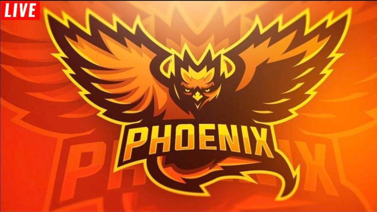ГОУ ФЕНИКСА🐦🔥 смотреть онлайн