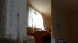 шо тотто там