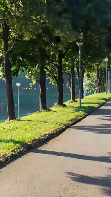 Парк на рассвете смотреть онлайн