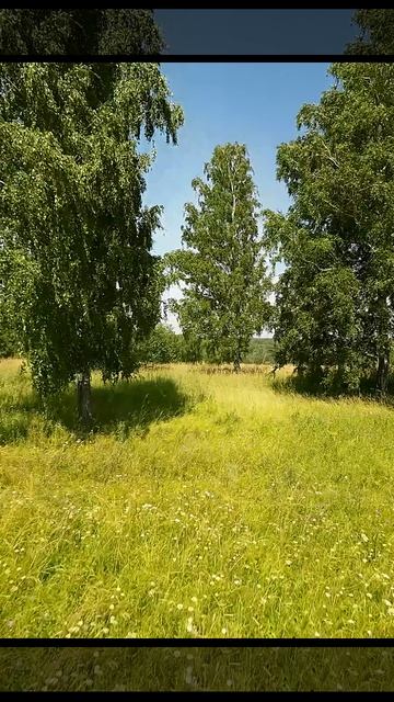 Матушка Земля