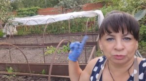 Наводим порядок на участке. Готовимся к встрече гостей. Принимаю поздравления. Жизнь семьи в деревне