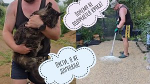 Новые конкурсы подъехали на грузовике. Кошке Морошке не страшны дожди и бури, она же не Пёс Кубик!