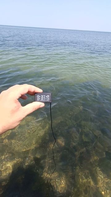 Таманский залив