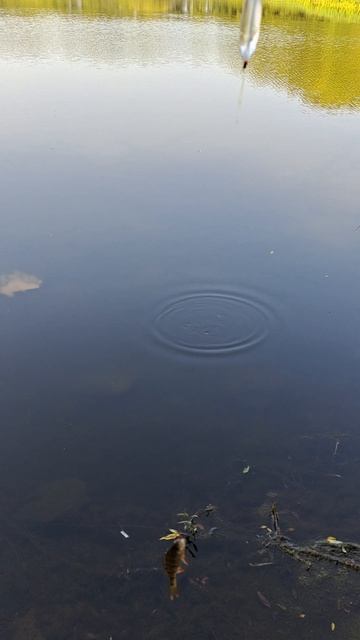 БОМБАРДА РУЛИТ смотреть онлайн