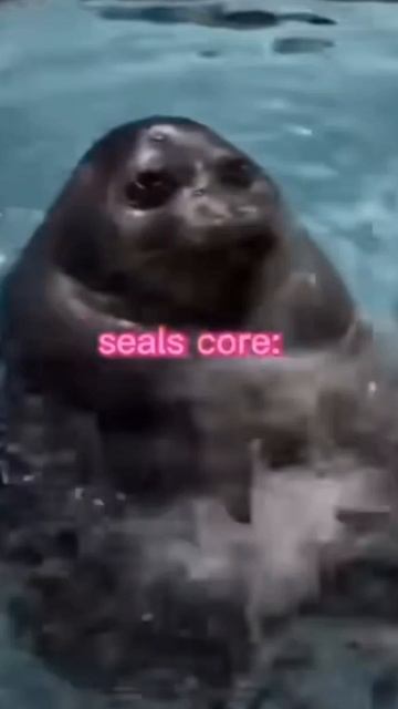тюленчик🦭🦭🦭🦭🦭🦭🦭🦭🦭🦭🦭🦭🦭🦭🦭🦭🦭🦭🦭🦭🦭🦭🦭🦭🦭🦭🦭🦭🦭🦭🦭🦭🦭🦭🦭🦭🦭🦭