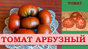 ТОМАТ АРБУЗНЫЙ - СРЕДНЕСПЕЛЫЙ СОРТ С ХОРОШИМ ИММУНИТЕТОМ И  СОЧНЫМИ, НЕЖНЫМИ ПЛОДАМИ