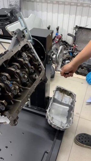 Неописуемая связь!)