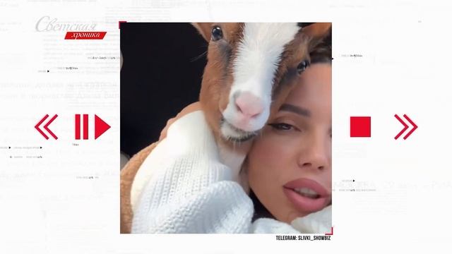 Самойлова и Джиган подарили сыну корову смотреть онлайн