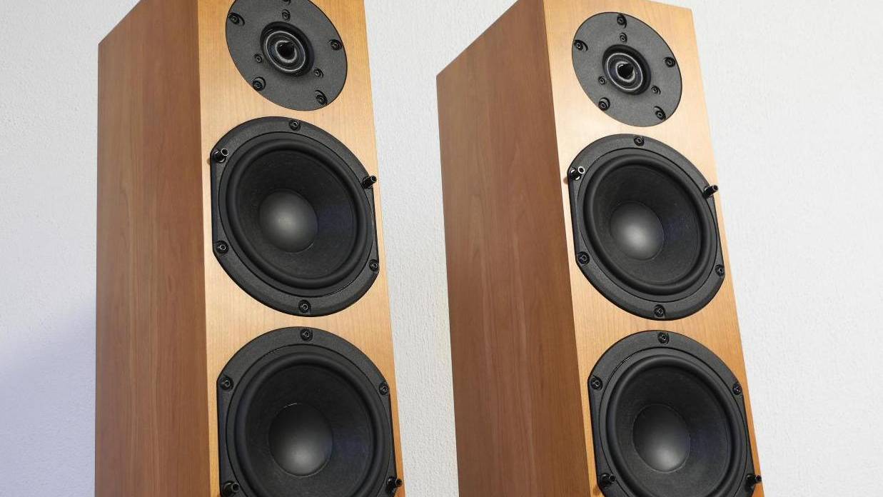 Слушаем Audio Physic Spark III