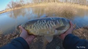 РЫБАЛКА ВЕСНОЙ 2024 ЛОВЛЯ КАРПА НА ФИДЕР И ПОПЛАВОЧНУЮ УДОЧКУ