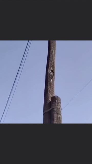 Выглядит прочно смотреть онлайн