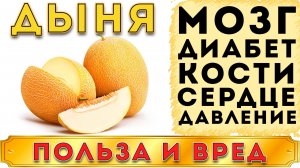 ДЫНЯ - ПОЛЬЗА И ВРЕД (АРОМАТНАЯ, ВКУСНАЯ ДЫНЯ. ВКУС И СЛАДОСТЬ КОТОРОЙ НЕ ОСТАВЛЯЕТ РАВНОДУШНЫХ)