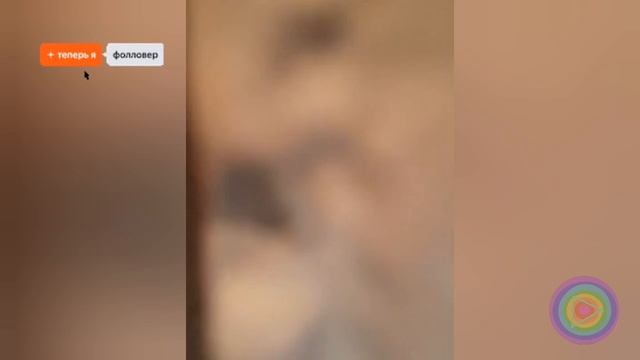 (Воронеж) гости ярика и лера 2021 г. 👋🏼👋🏼👋🏼 ролик 2025 г. смотреть онлайн