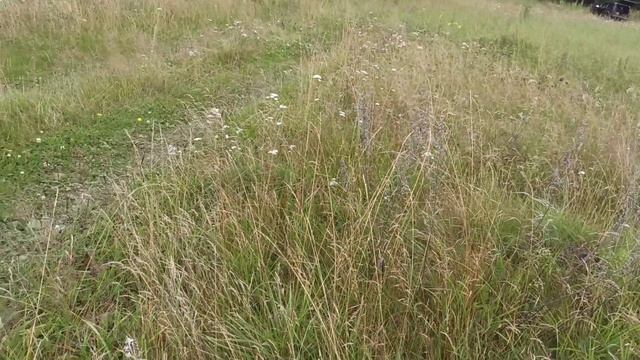 Рыбалка-Коп. приключения.