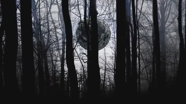 forest смотреть онлайн