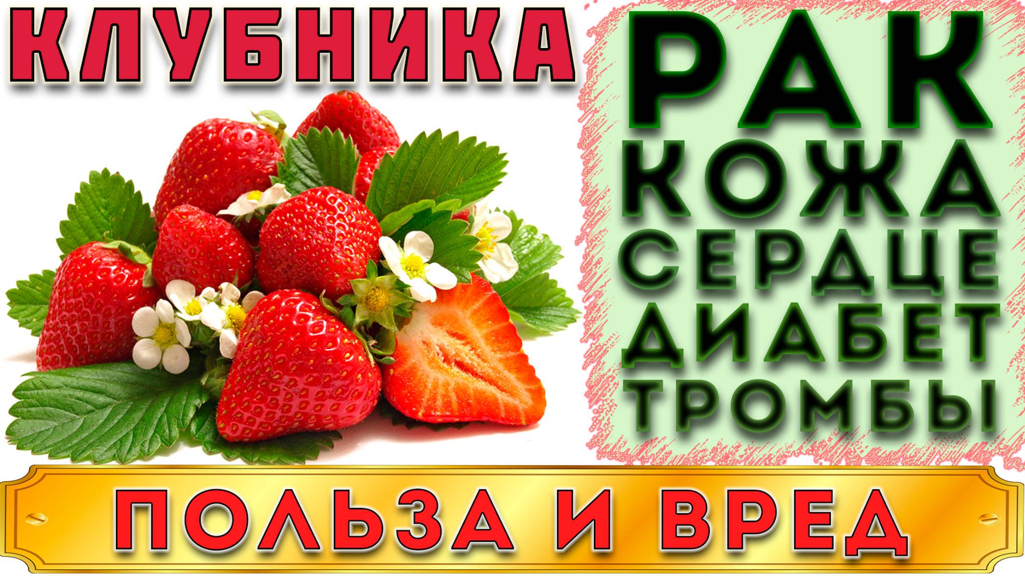 КЛУБНИКА - ПОЛЬЗА И ВРЕД (САДОВАЯ ЗЕМЛЯНИКА, ВИКТОРИЯ - ГЛАВНЫЕ СВОЙСТВА И ХАРАКТЕРИСТИКА КЛУБНИКИ) смотреть онлайн
