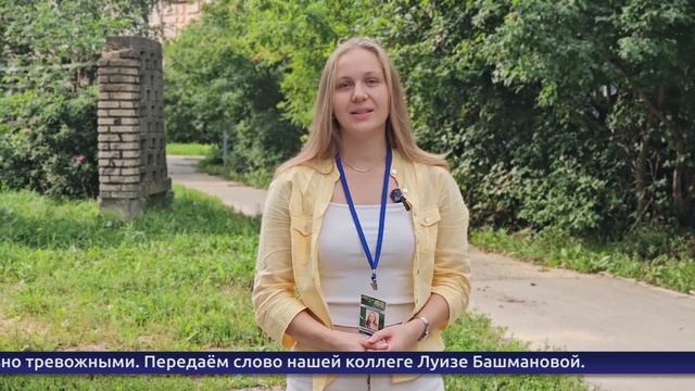 Обнинские новости (за 31 июля 2025) смотреть онлайн