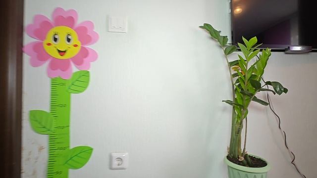 31-07-2025 смотреть онлайн