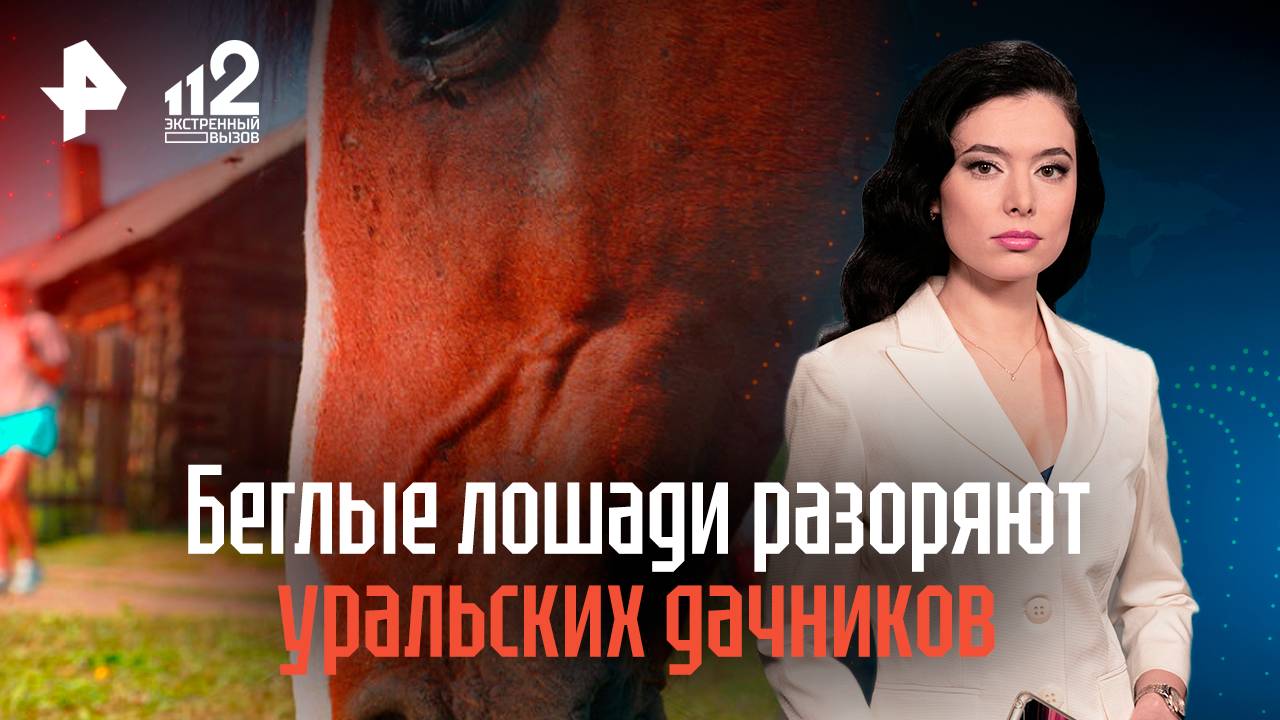 Беглые лошади разоряют уральских дачников, устраивая налеты на огороды смотреть онлайн