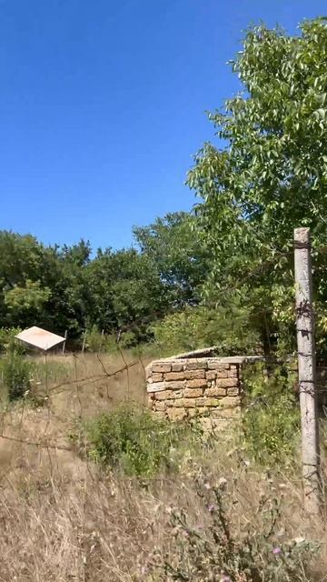 Снт родничек 6 с ведение содовотства