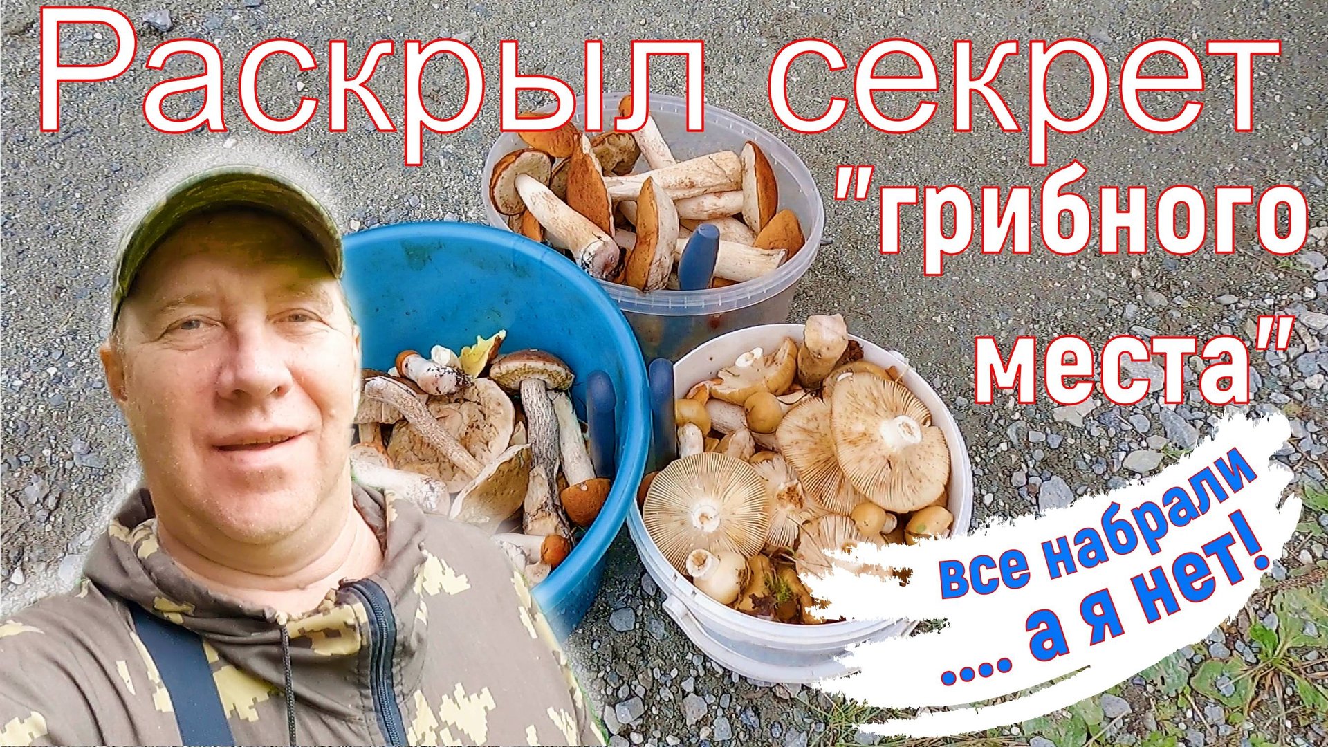 Раскрыл секретное место! Грибов тьма, все набрали.... а я нет!