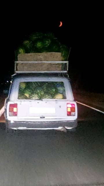 Арбузы Кубани.