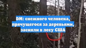 DM: снежного человека, прячущегося за деревьями, засняли в лесу США
