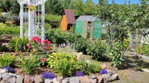 6 соток и ещё столько же | Кто портит урожай | Убрала лук | Красивые многолетники