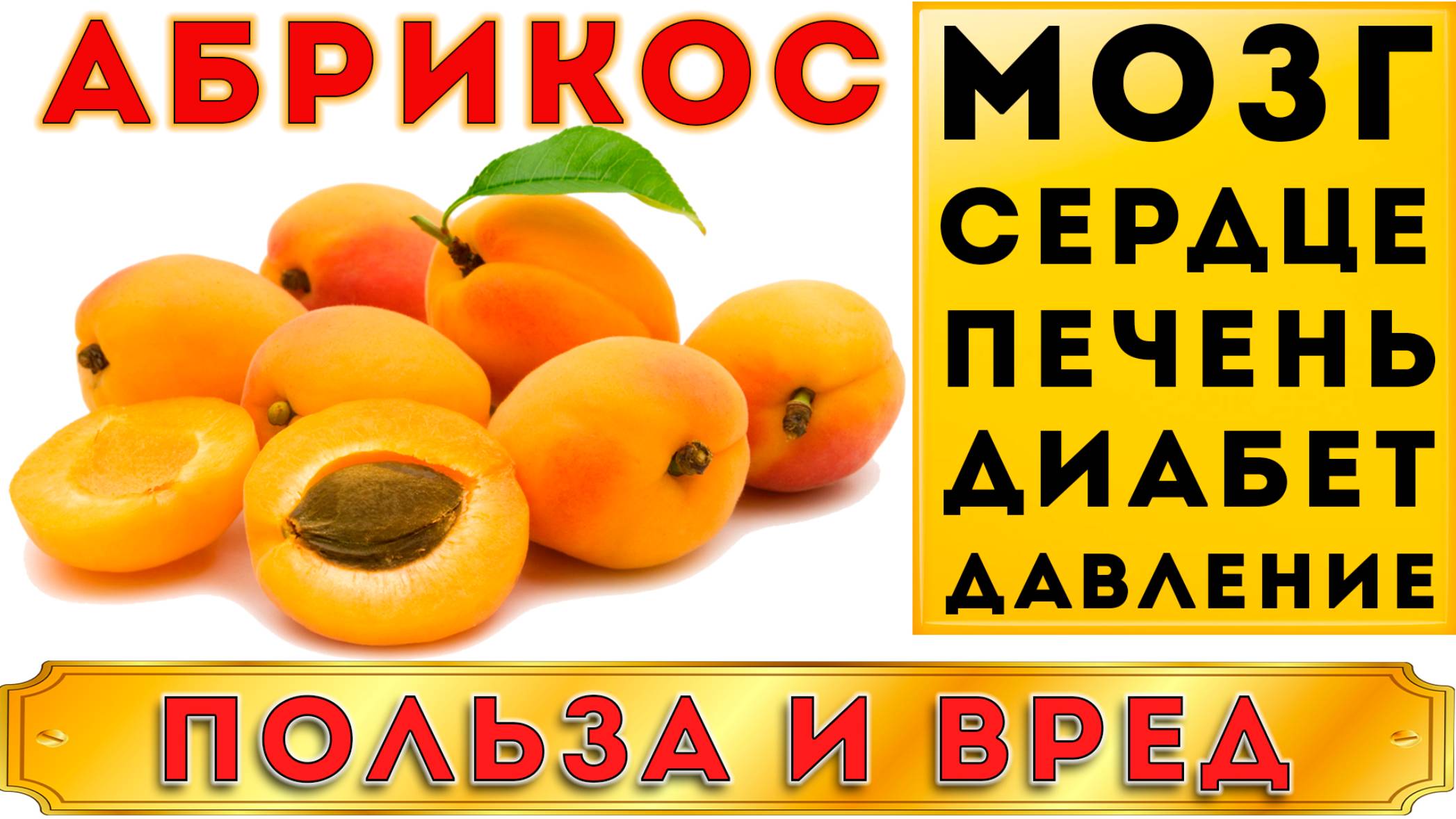 АБРИКОС - ПОЛЬЗА И ВРЕД (НЕ ТОЛЬКО КАК ЕДА. ПОПУЛЯРНЫЙ ФРУКТ С ОСОБЕННЫМИ ХАРАКТЕРИСТИКАМИ) смотреть онлайн