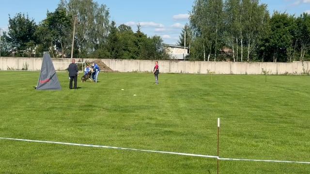 3 место Столяров Сергей, № 2 Love And Spirit ZHANDARM Немецкая овчарка 176 баллов