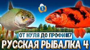 Rf4 купил катушки, аппнул лвл, нашёл фарм серы и ловил трофеев #рр4