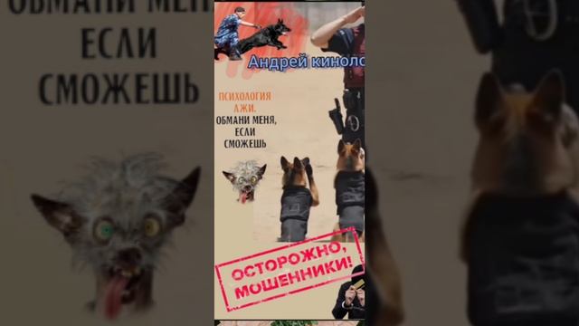 Продлеватели и прочии 404 смотреть онлайн