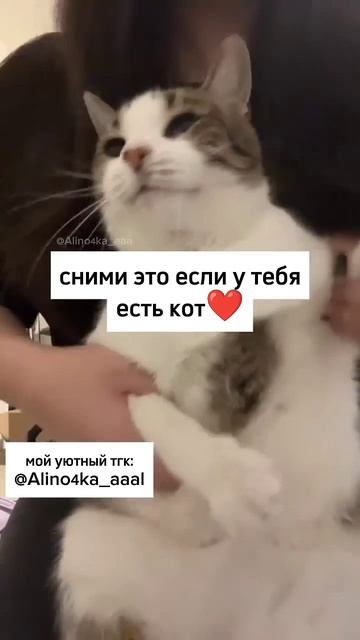 подпишитесь канала 👆👆👆👆😁😁😁😁