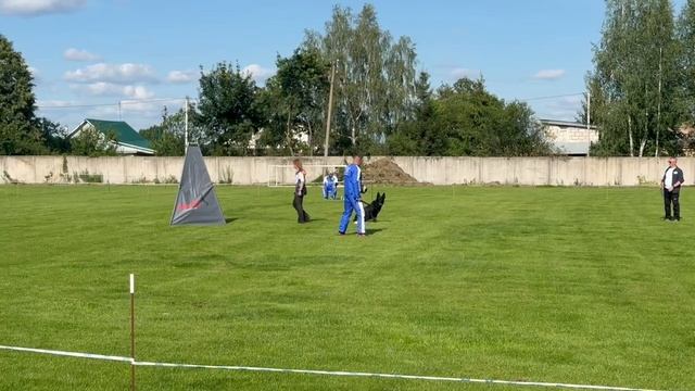 2 место Каретникова Елена, № 8 ERS v. Kayman Немецкая овчарка 178 баллов