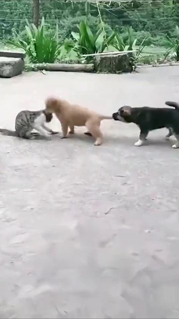 Разборки смотреть онлайн