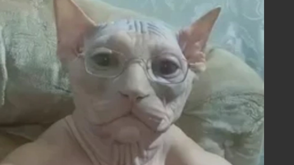 трек каждый новый день смотреть онлайн