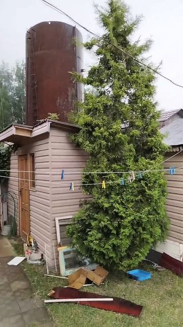 Соседи радуются, что пошёл дождь) смотреть онлайн