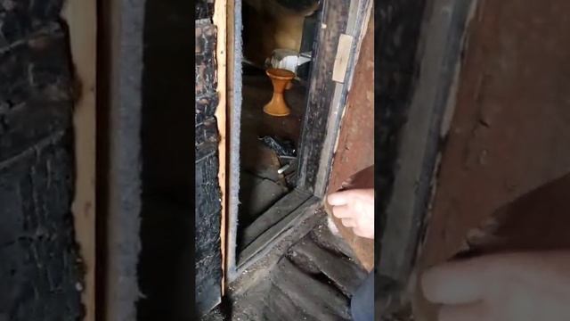 video5213249046394728853 смотреть онлайн