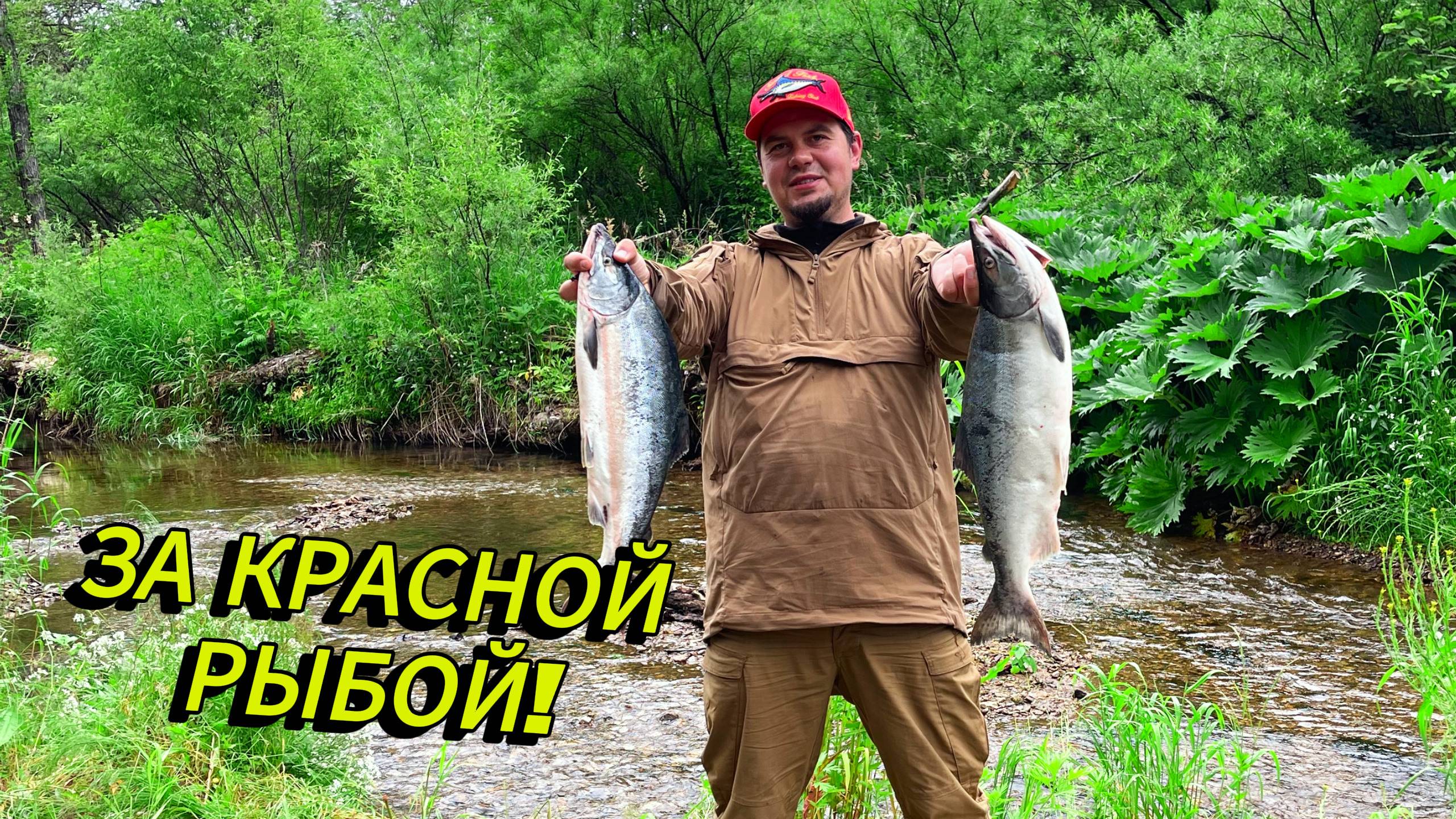 Рыбалка на горбушу 2025 | Река Максимовка смотреть онлайн