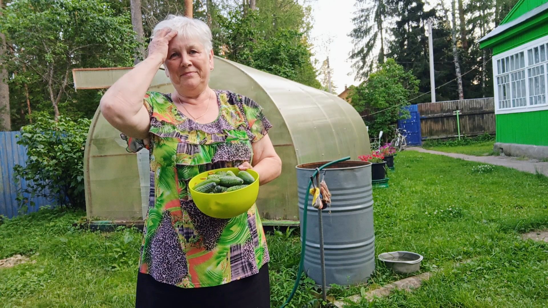 "Жизнь на пенсии".. Хроника дня - 30.07.25 смотреть онлайн