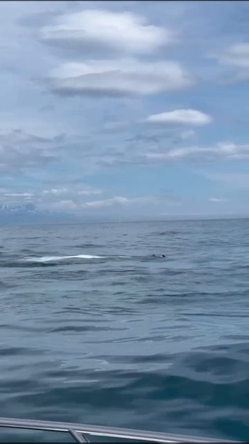 Косатка, бухта Русская