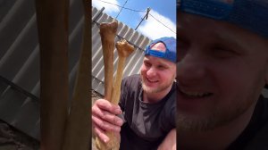 КОЛЛЕКЦИЯ СМЕШНЫХ ВИДЕО / ПОРЖАТЬ / Смешные видео / Юмор 2