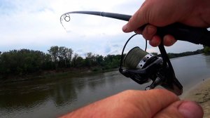 Поймали 2 Амура в один подсак! Рыбалка мечты! Сазан и Амур на Хопре клевал постоянно!