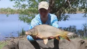 Рыбалка_на_кормушку_флэт_фидер_и_клёв_сазана