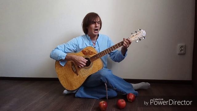 Необратимость