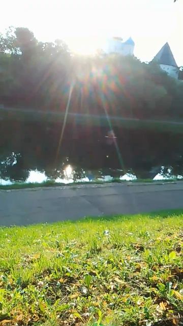 Пруд в городском парке смотреть онлайн