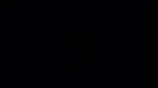 Б. Мартини. Гавот F - Dur (на скрипичном режиме) (с аккомпанементом на клавесине) (медленный темп) смотреть онлайн