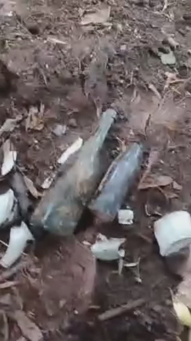 Копаю немецкую помойку, где стояли фрицы... смотреть онлайн