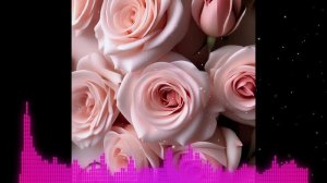 Веселые Ребята - Розовые Розы (Matuno Radio Remix)